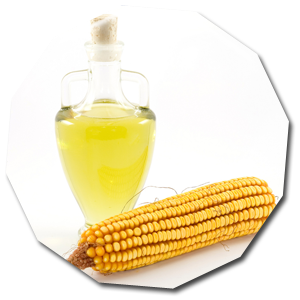 Maize corn extract